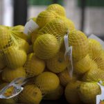limon-mersin