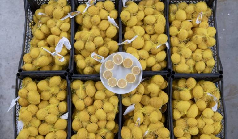 Mersin’den Ankara’ya 50 Ton Limon
