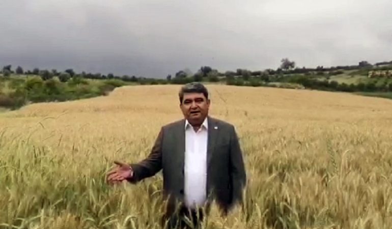 CHP’li Gökçel’den Çağrı: “Buğday Alım Fiyatı En Az 2500 TL Olmalı”