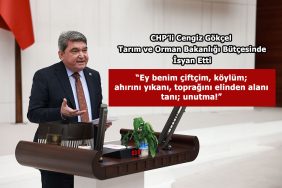 cengiz-gokcel-butce