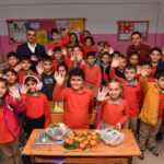 mersin-mandalina1